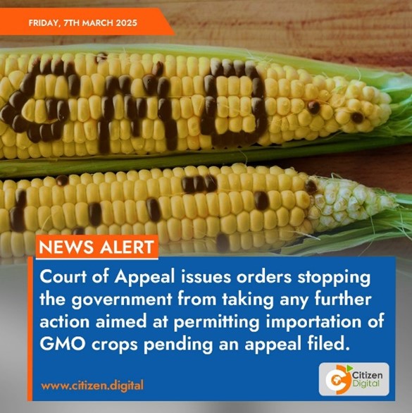 They don’t want you sharing indigenous seeds so foreign companies can take control and spread GMO’s